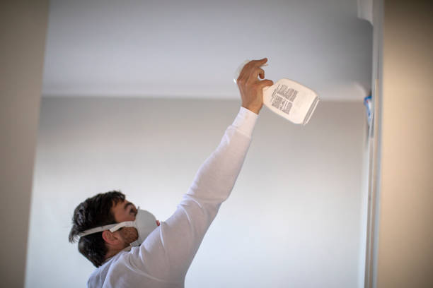 Vinton, LA Mold Removal Company