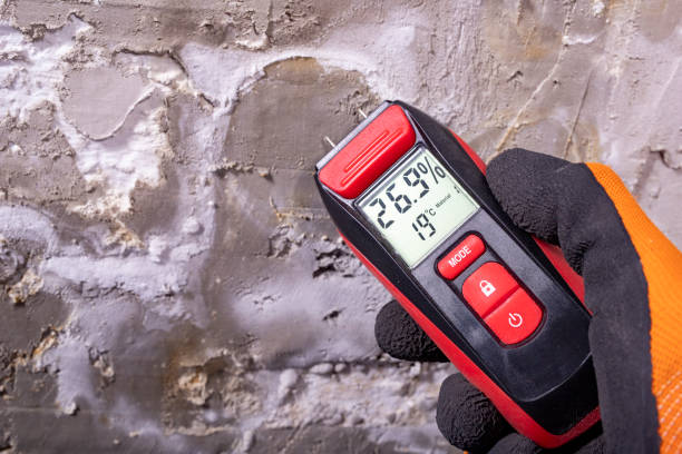 Best Best Mold Removal Companies  in Vinton, LA
