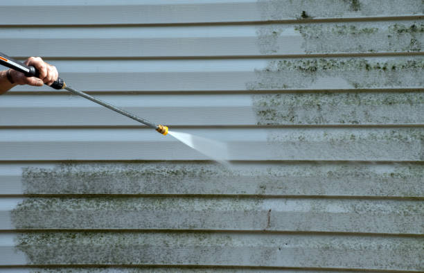 Best Commercial Mold Removal  in Vinton, LA