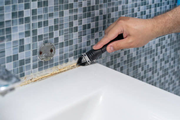 Best Same-Day Mold Removal  in Vinton, LA